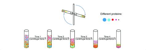 differential centrifuge process.